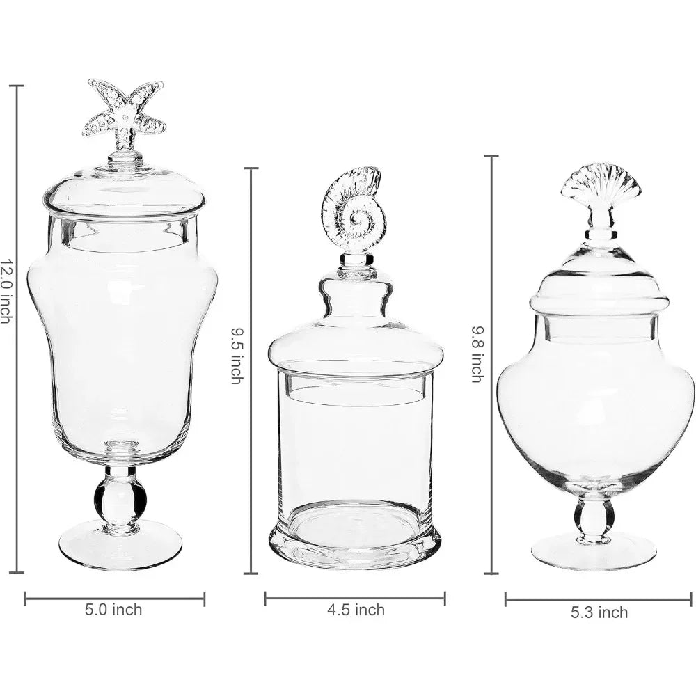 Clear Glass Apothecary Jars with Lid Decorative Seashell Design Bathroom Canister Footed Candy Buffet